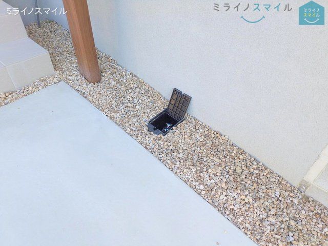 撮影日(2024-12-12 00:00:00)