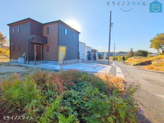 撮影日(2024-12-12 00:00:00)