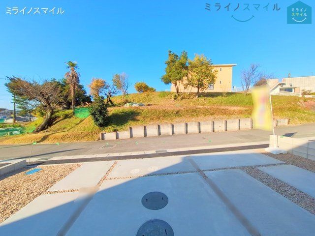 撮影日(2024-12-12 00:00:00)