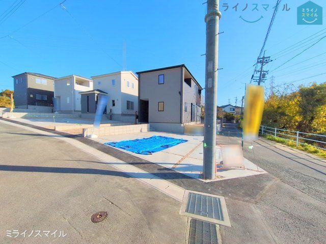 撮影日(2024-12-12 00:00:00)