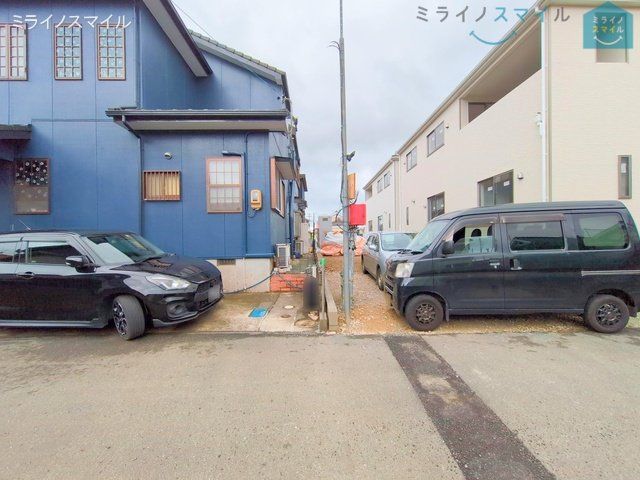 撮影日(2025-03-28 00:00:00)
