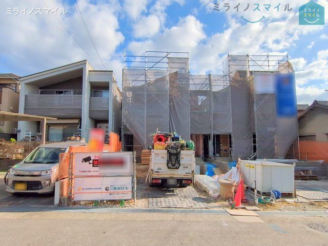 撮影日(2025-03-31 00:00:00)
