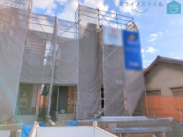 撮影日(2025-03-31 00:00:00)