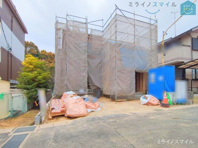 撮影日(2025-04-10 00:00:00)