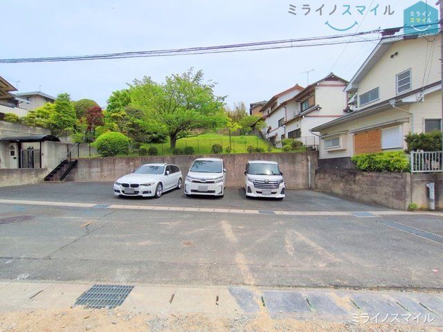 撮影日(2025-05-01 00:00:00)