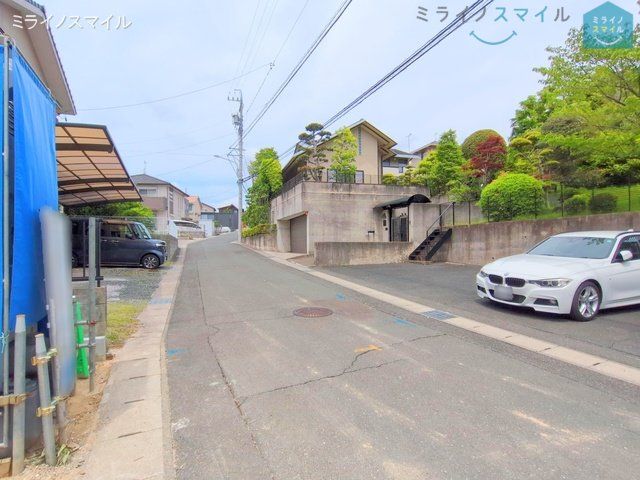 撮影日(2025-05-01 00:00:00)