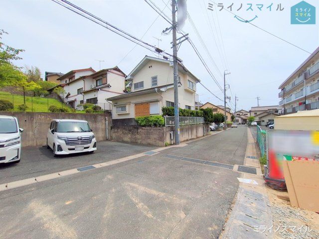 撮影日(2025-05-01 00:00:00)