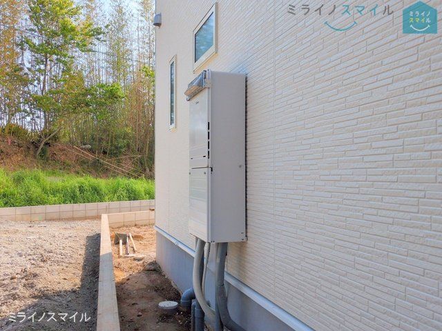 撮影日(2025-05-01 00:00:00)
