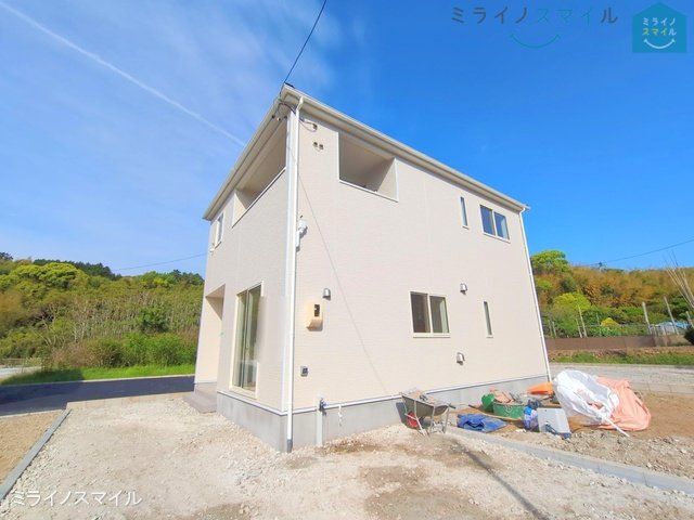 撮影日(2025-05-01 00:00:00)