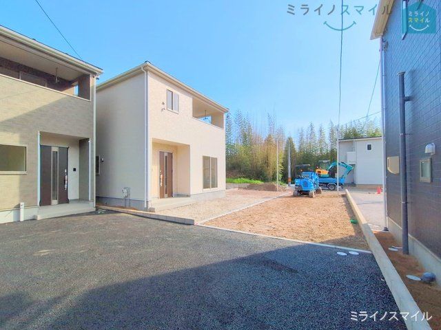 撮影日(2025-05-01 00:00:00)