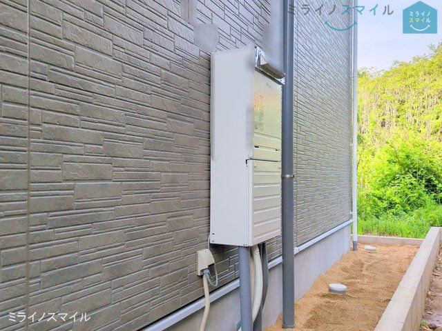 撮影日(2025-05-01 00:00:00)