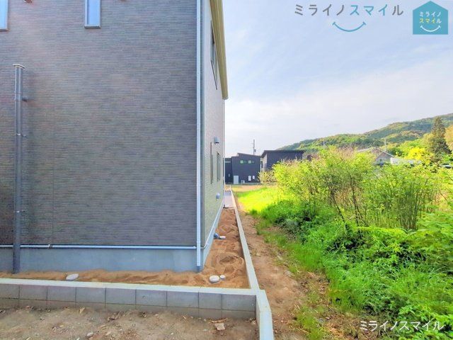 撮影日(2025-05-01 00:00:00)