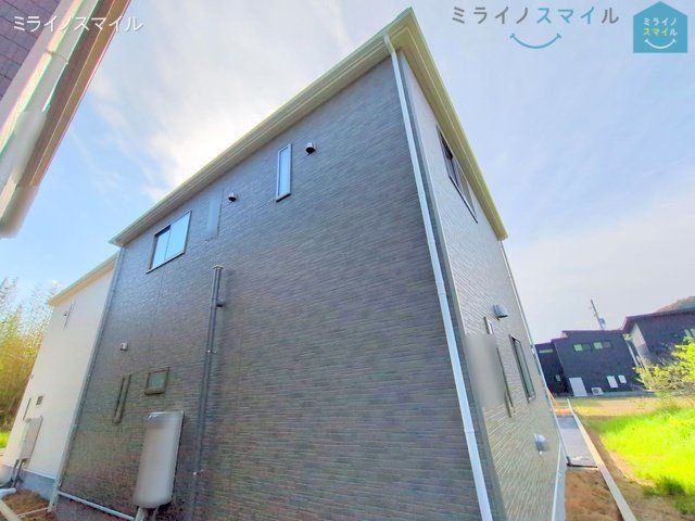 撮影日(2025-05-01 00:00:00)
