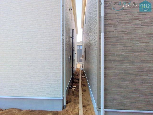 撮影日(2025-05-01 00:00:00)