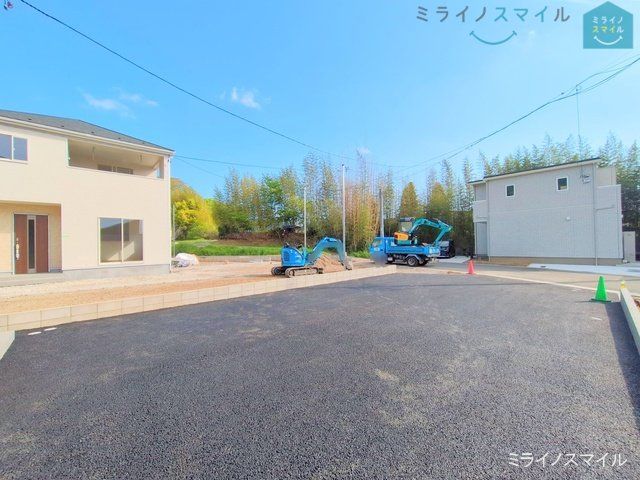 撮影日(2025-05-01 00:00:00)