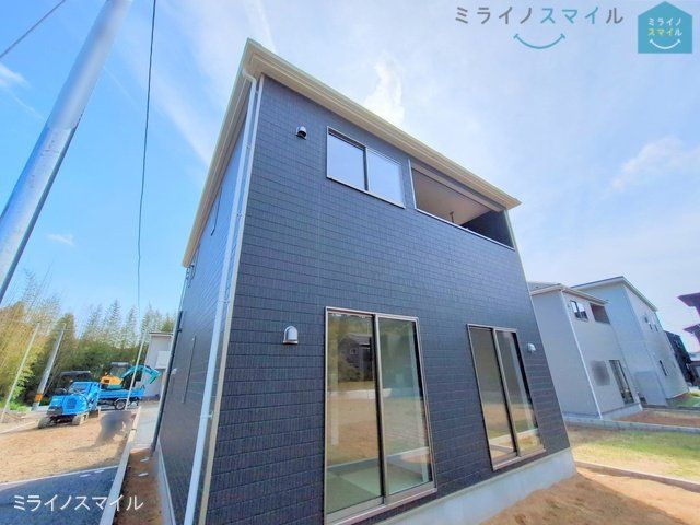 撮影日(2025-05-01 00:00:00)
