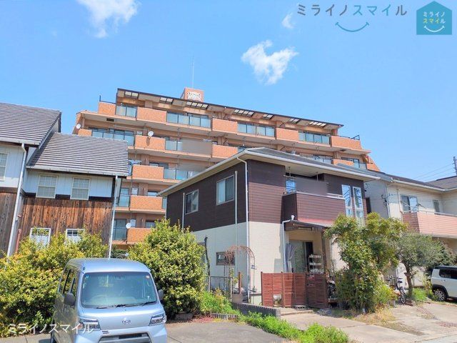 撮影日(2025-04-07 00:00:00)