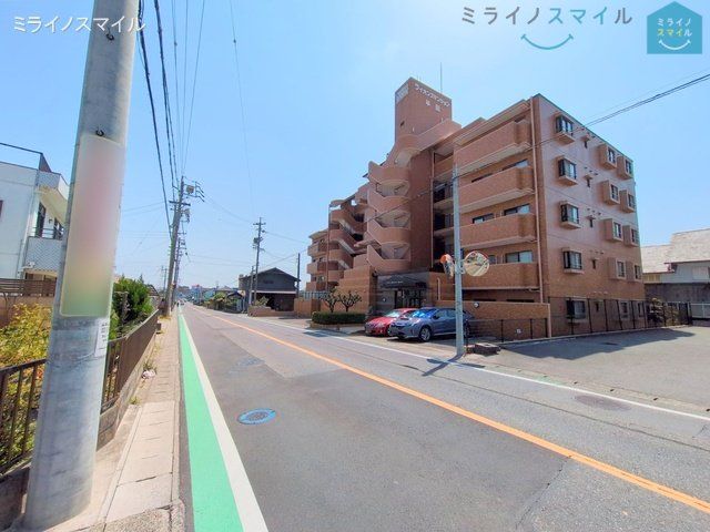 撮影日(2025-04-07 00:00:00)