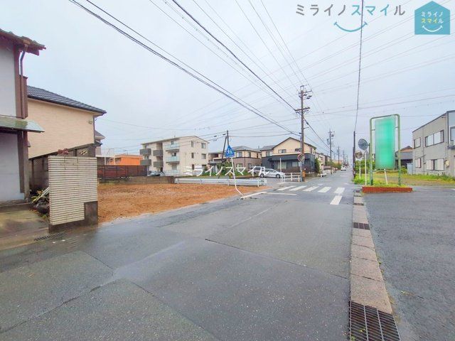 撮影日(2025-06-10 00:00:00)