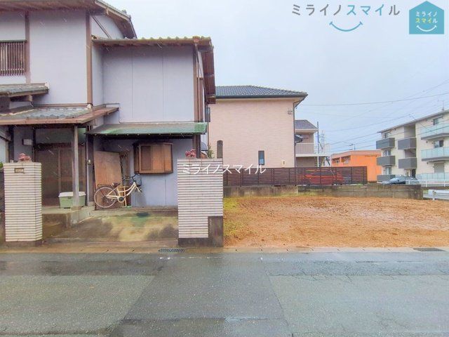 撮影日(2025-06-10 00:00:00)