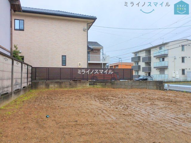 撮影日(2025-06-10 00:00:00)