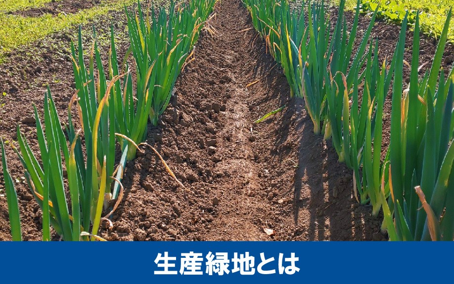生産緑地とはなにか?農地の売却に関する2022年問題とは?
